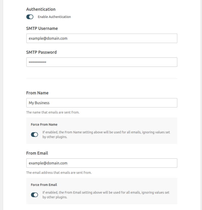 Campos de autenticación SMTP en WP Mail SMTP