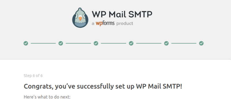 Mensaje de éxito de WP Mail SMTP
